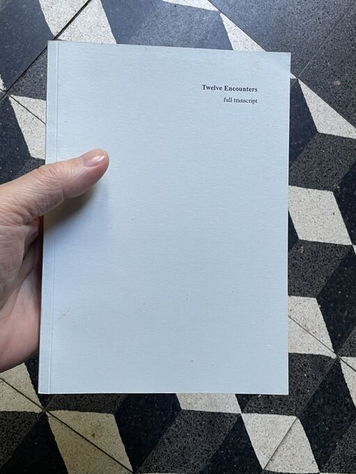 Twelve Encounters